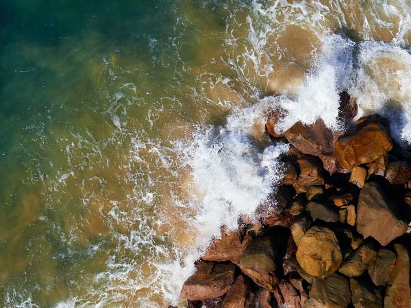 Standing on the water's edge